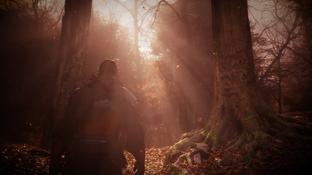 Мрачная RPG The Vernyhorn получила поддержку трассировки лучей и DLSS 4.5