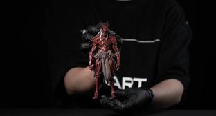 Inart показала распаковку фигурки Царя Якшей из игры Black Myth: Wukong 