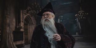 Никаких «Фантастических тварей»: HBO не планирует превращать перезапуск «Гарри Поттера» в киновселенную Marvel