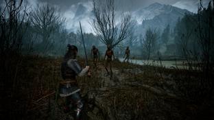Раскрыта продолжительность The Blood of Dawnwalker от авторов The Witcher 3