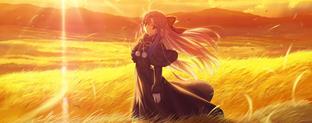 Анонсирован аниме-файтинг Melty Blood: Twi-Lumina — показали первый тизер