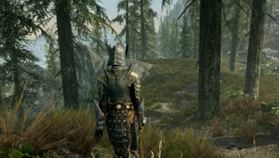 Спустя 13 лет моддер TES V: Skyrim запустил игру без модов и она привела его в восторг
