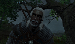 El soporte técnico de CDPR no puede manejar el flujo de quejas después del lanzamiento del remaster de The Witcher 3