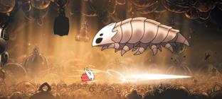 Эксперт по ценообразованию раскритиковала Hollow Knight: Silksong за слишком низкую цену
