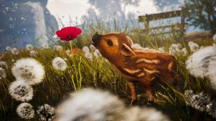 Cozy adventure about a furry pig named Boris, Adorable Adventures, to be released on Switch 2 in November