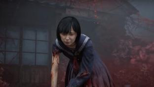 Возрастной рейтинг Silent Hill f раскрывает жестокие особенности грядущего хоррора. В игре также будут сексуальные отсылки