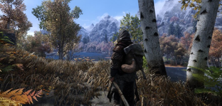 Спустя 14 лет баги Skyrim продолжают удивлять — геймер заметил ошибку с цветом медведей
