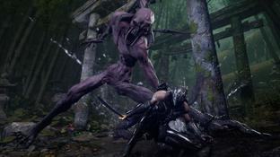 Ninja Gaiden 4 получит масштабное дополнение с новой историей и уникальным оружием