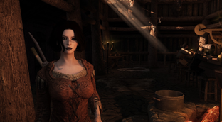 Анонсировали Skyrim Revoiced — моддер работает с актёрами озвучивания, чтобы дать игре новые голоса