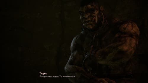 Права на изображения принадлежат Alkimia Interactive и THQ Nordic