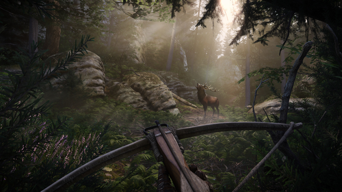 Warhorse Studios, Deep Silver