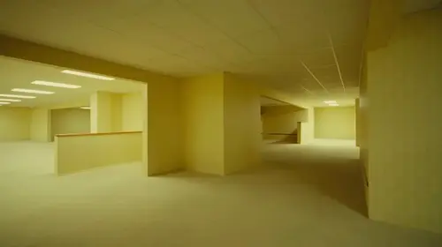 A24