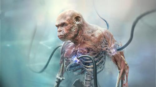 Beyond Good & Evil 2