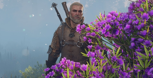 Ремастер The Witcher 3 на Switch 2 можно получить «бесплатно» на разные аккаунты — для схемы потребуется один картридж