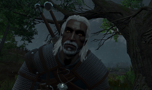 Техподдержка CDPR не справляется с потоком жалоб после релиза ремастера The Witcher 3