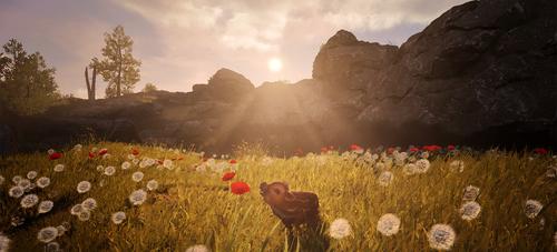 Wild Sheep Studio 