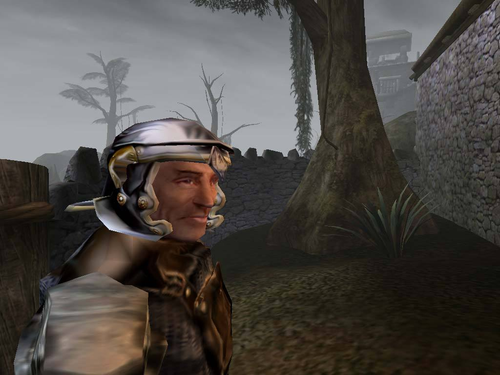 Image belongs to Bethesda