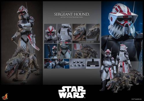 Los derechos de las imágenes pertenecen a Hot Toys y Lucasfilm