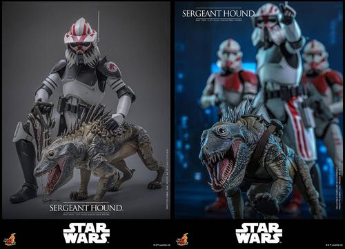 Los derechos de las imágenes pertenecen a Hot Toys y Lucasfilm