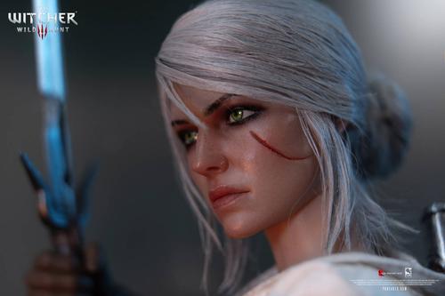 Права на изображения принадлежат CD Projekt и PureArts