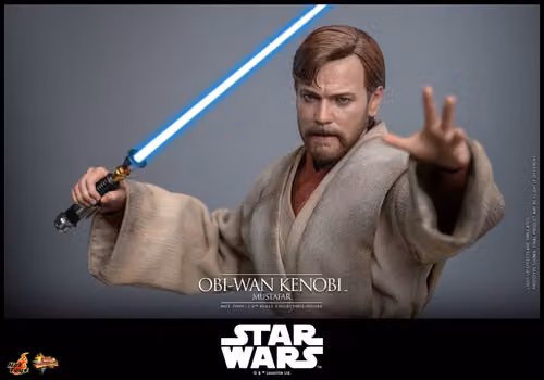 Images are owned by Lucasfilm and Hot Toys