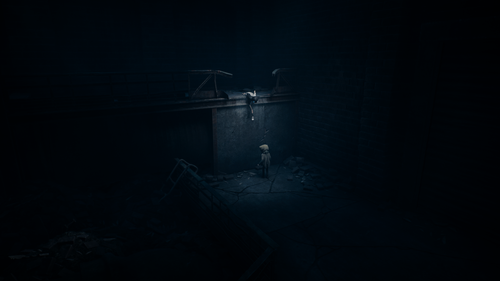 Tarsier Studios / Reanimal