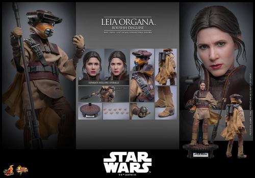 Права на изображения принадлежат Lucasfilm и Hot Toys