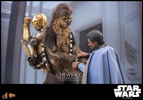 Image rights belong to Lucasfilm and Hot Toys