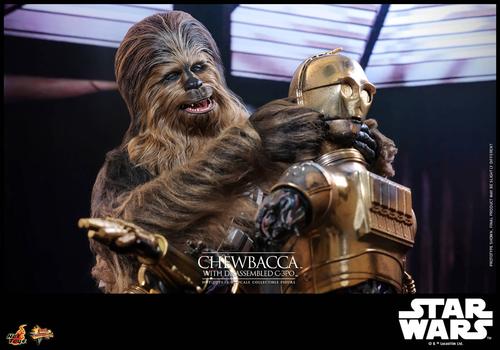 Image rights belong to Lucasfilm and Hot Toys