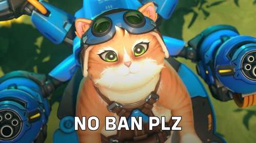 Blizzard Entertainment
