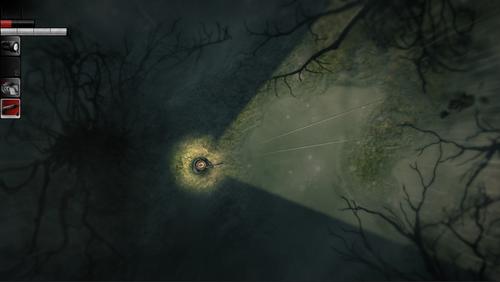 Acid Wizard Studio, Hooded Horse