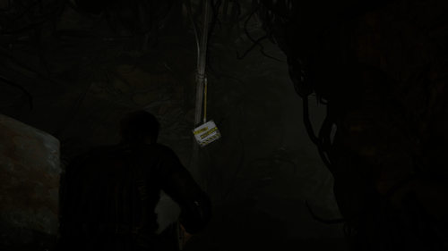 Resident Evil Requiem / Capcom