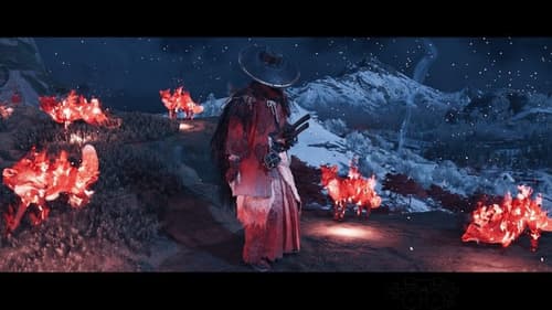 Фото 1