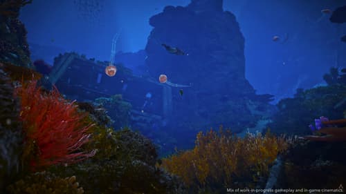 Рифы Карибов