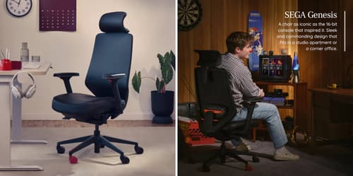 

Права на изображения принадлежат SEGA и Branch

