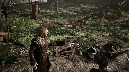 Права на изображения принадлежат Alkimia Interactive и THQ Nordic