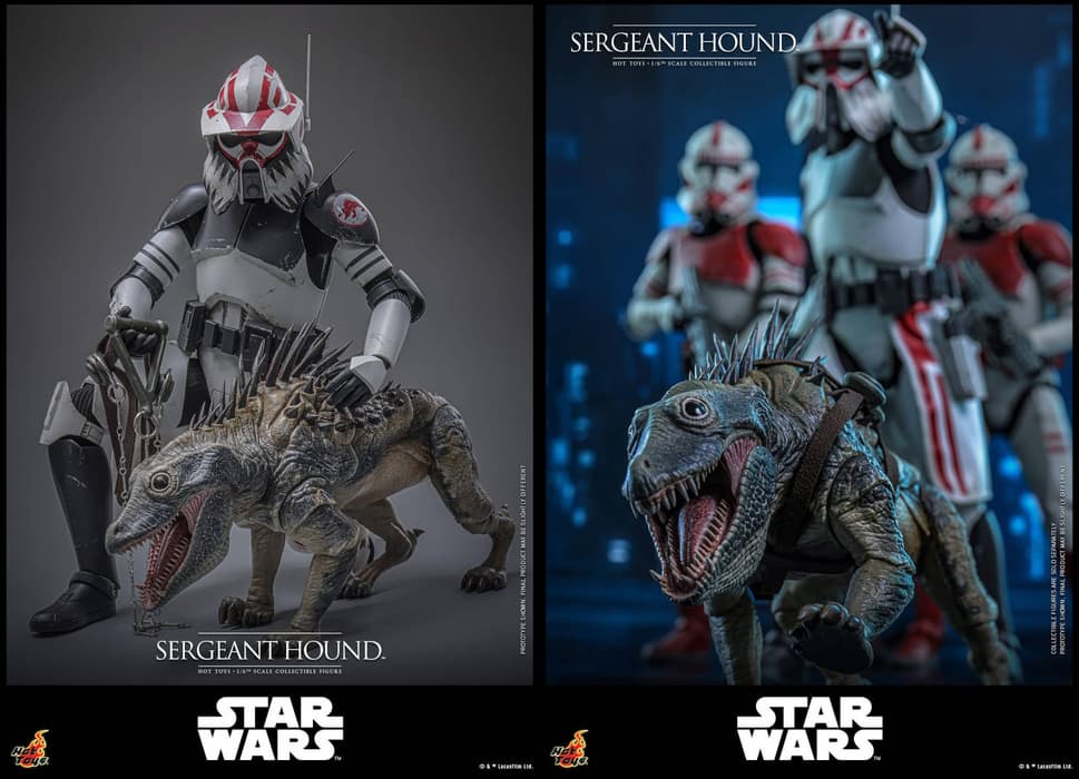 

Image rights belong to Hot Toys and Lucasfilm

