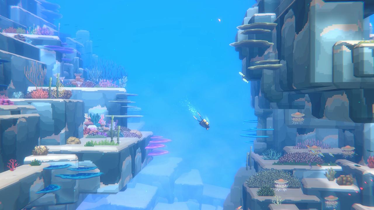 Mintrocket