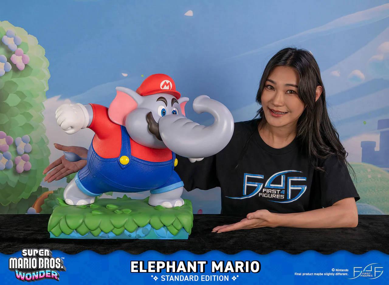 Права на изображения принадлежат Nintendo и First 4 Figures
